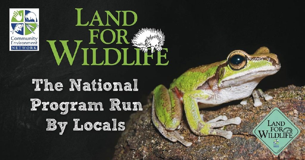 Hills Shire Council's Wildlife Aid Programs